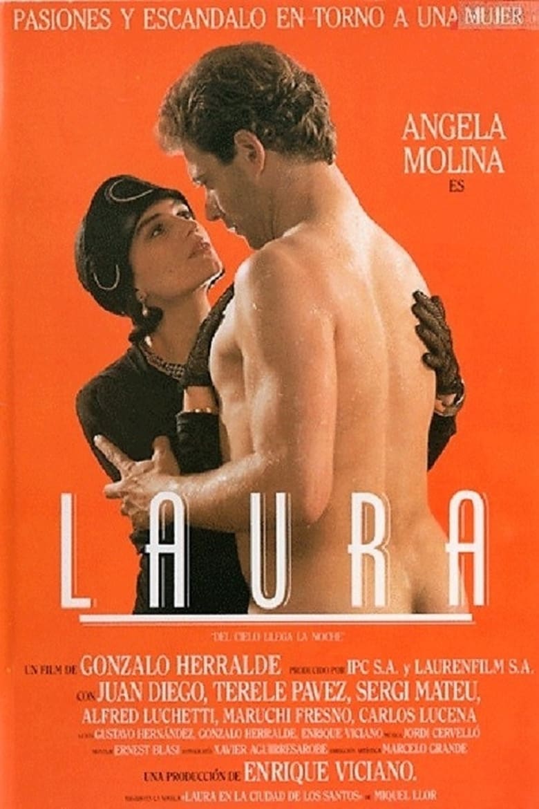 Poster of Laura, del cielo llega la noche