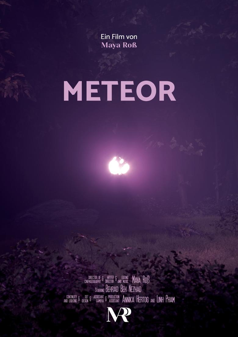 Poster of METEOR