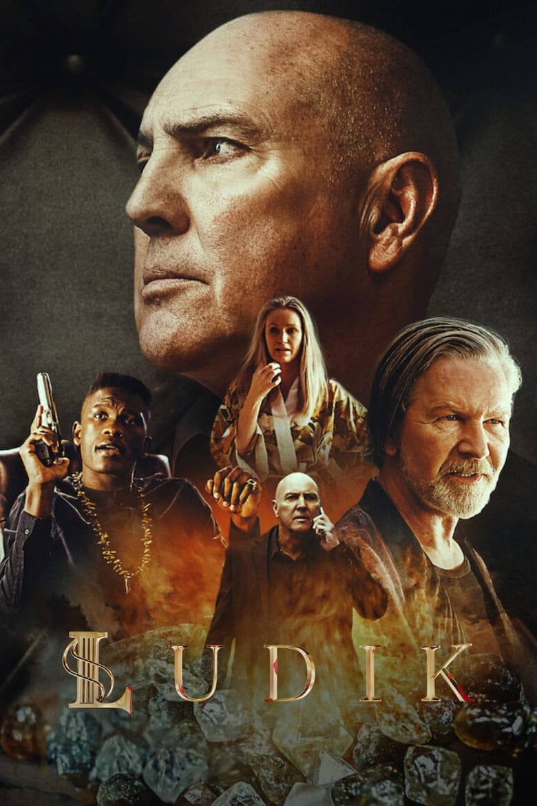 Poster of Ludik