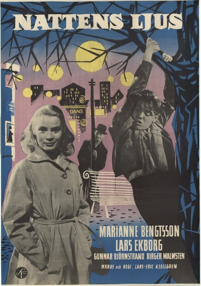 Poster of Night Light