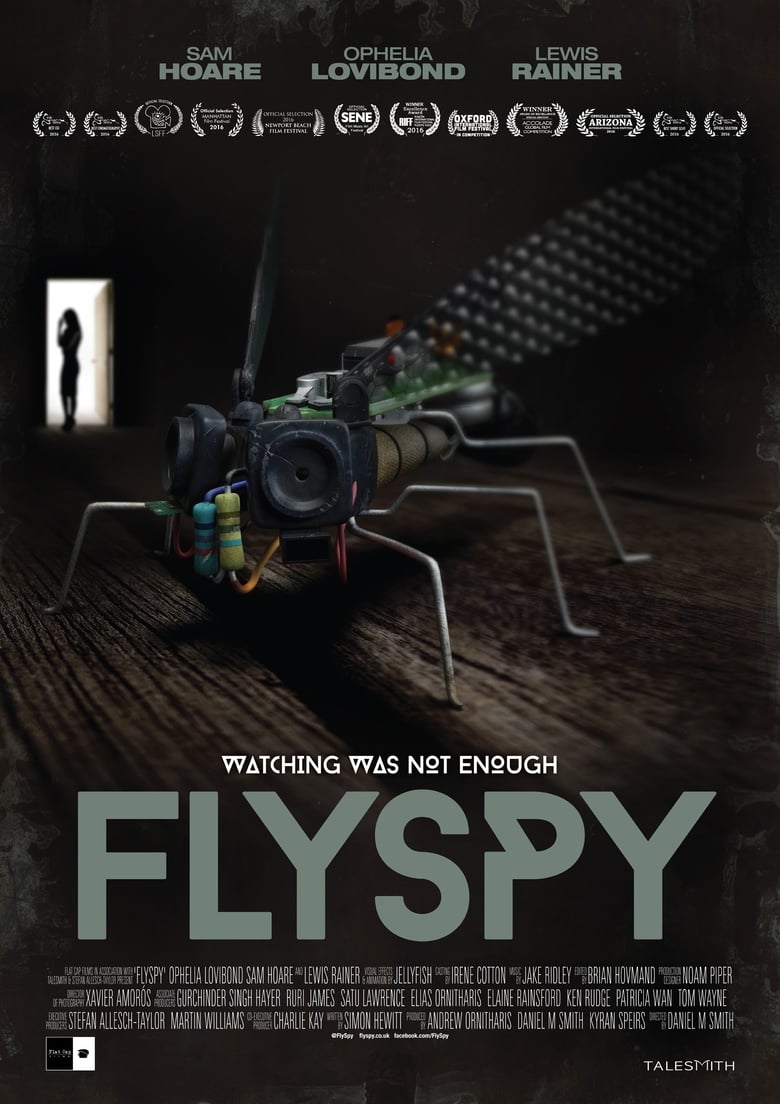 Poster of Flyspy