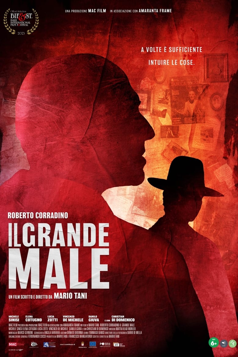 Poster of Il grande male