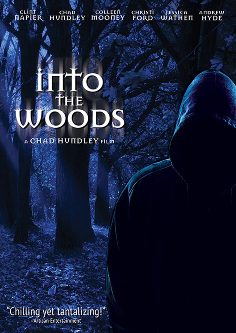 Poster of Into the Woods