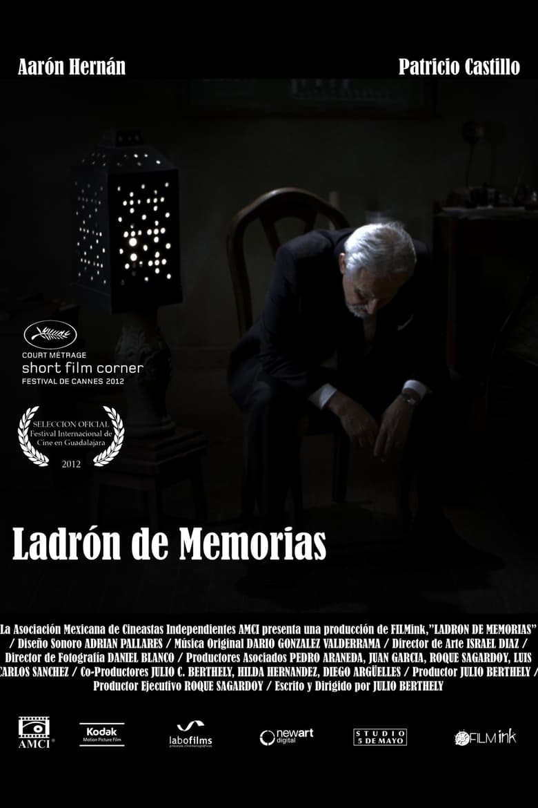 Poster of Ladrón de memorias