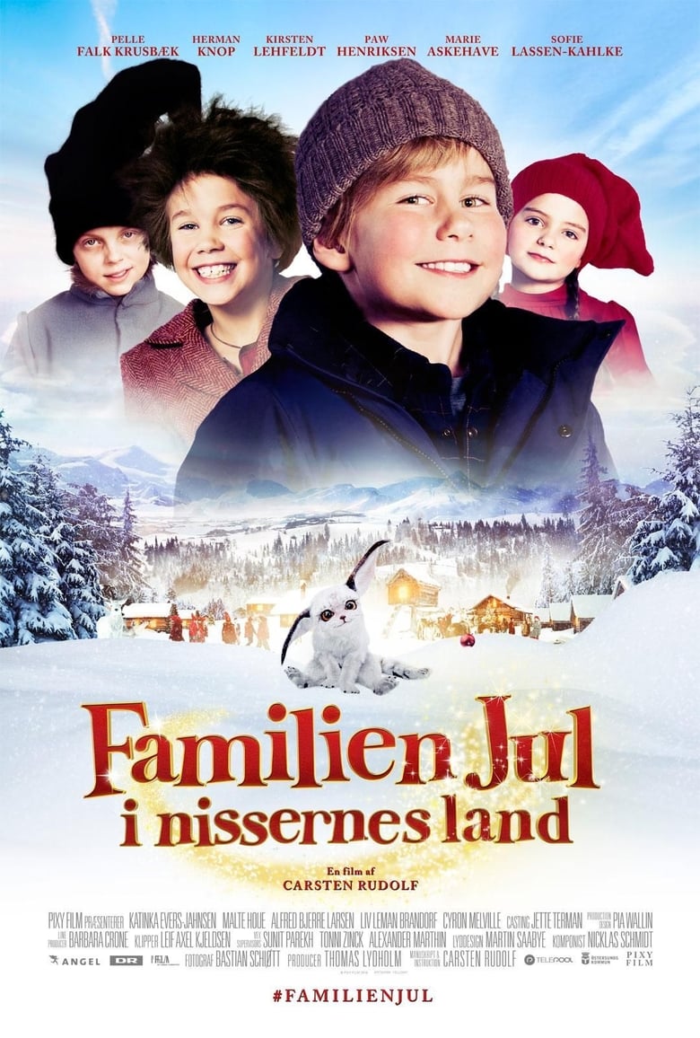 Poster of The Christmas Family 2