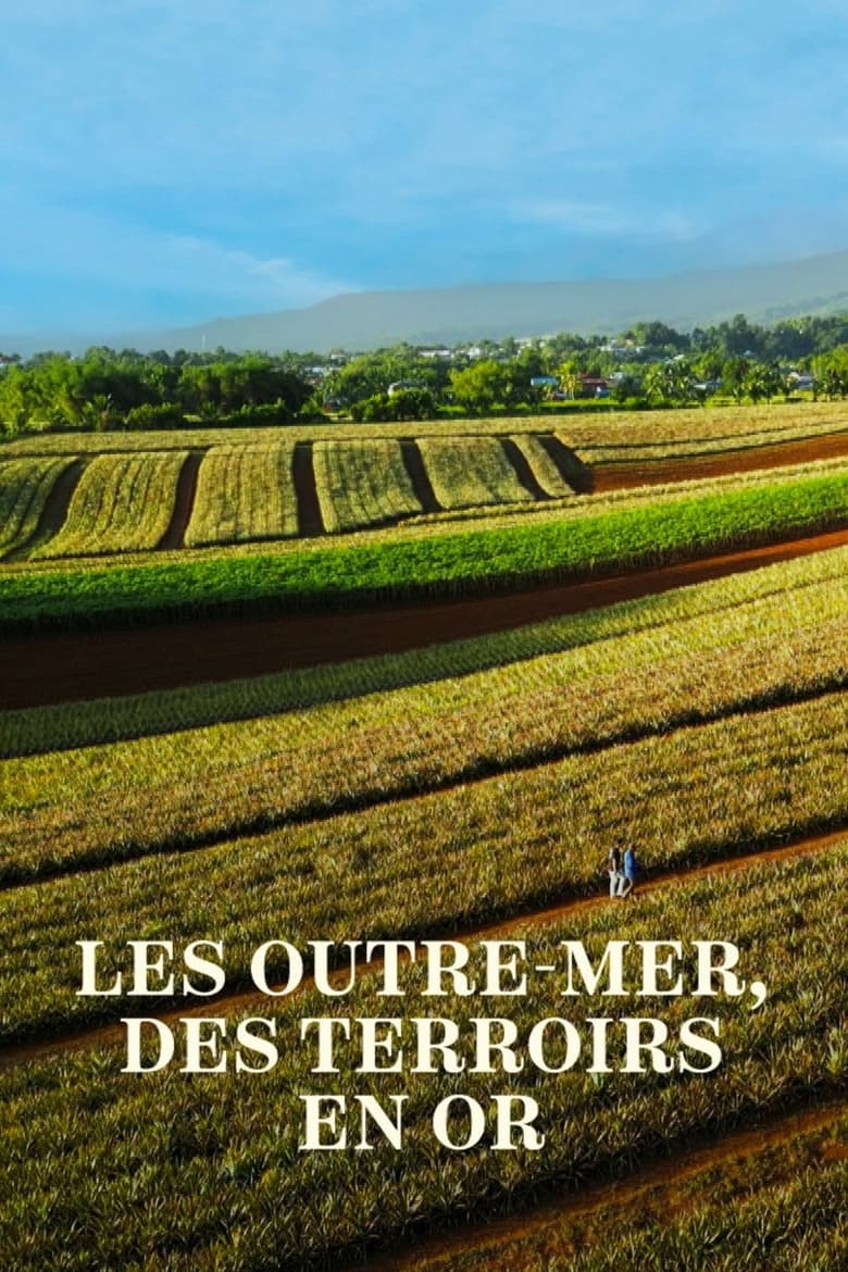 Poster of Les Outre-mer, des terroirs en or