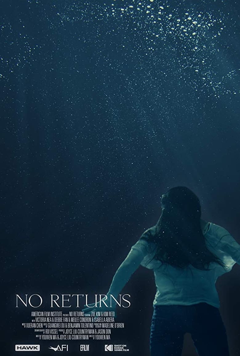 Poster of No Returns