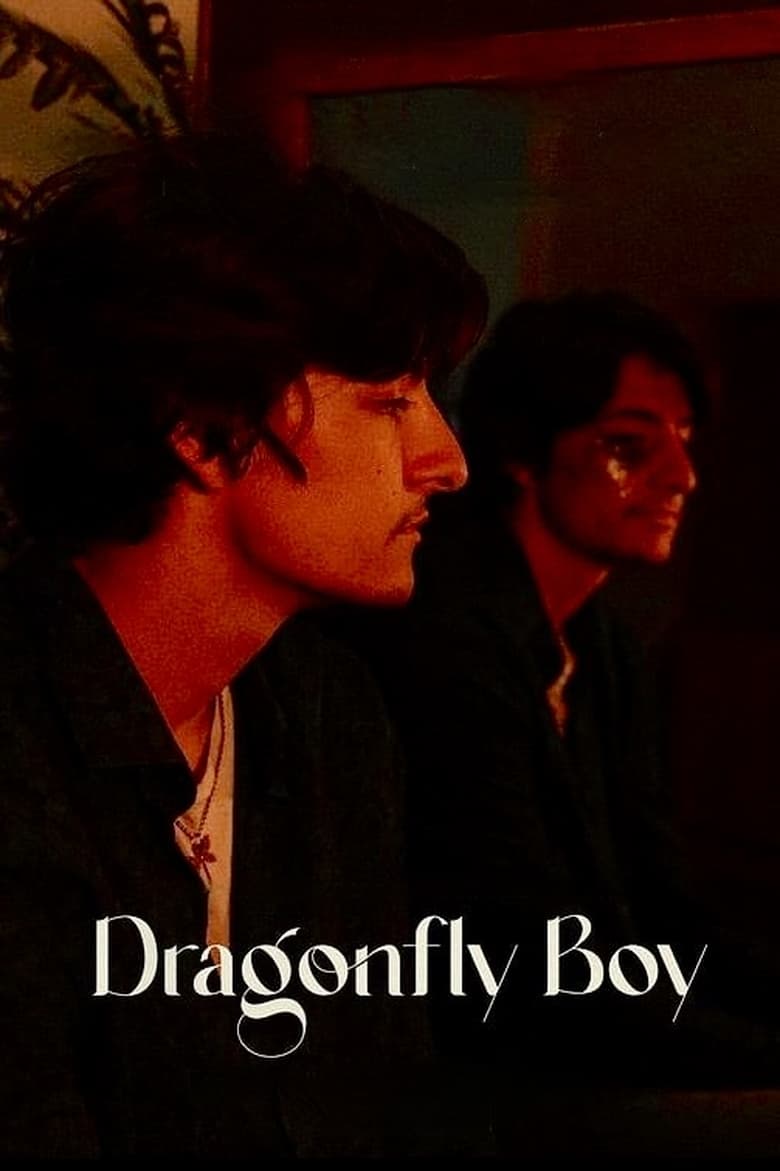 Poster of Dragonfly Boy