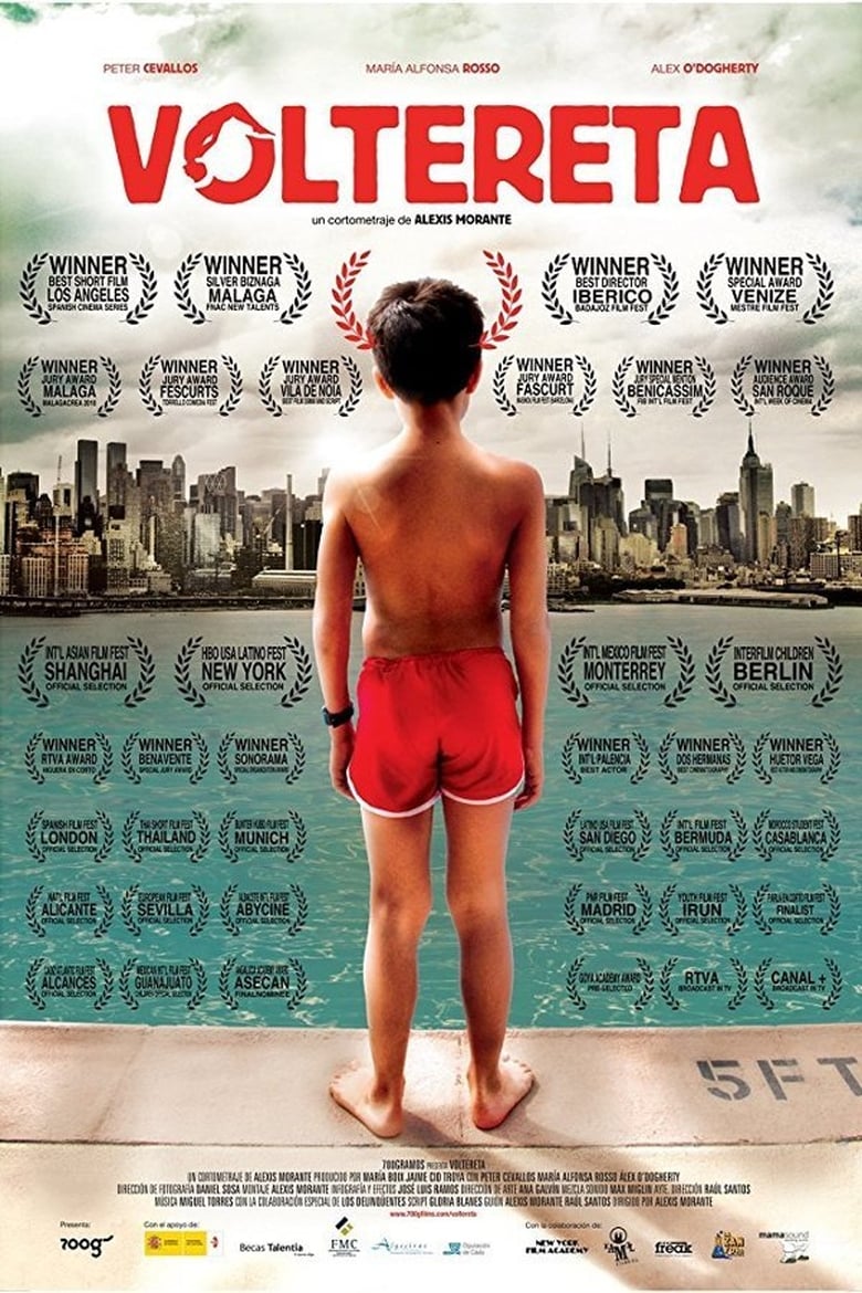 Poster of Somersault