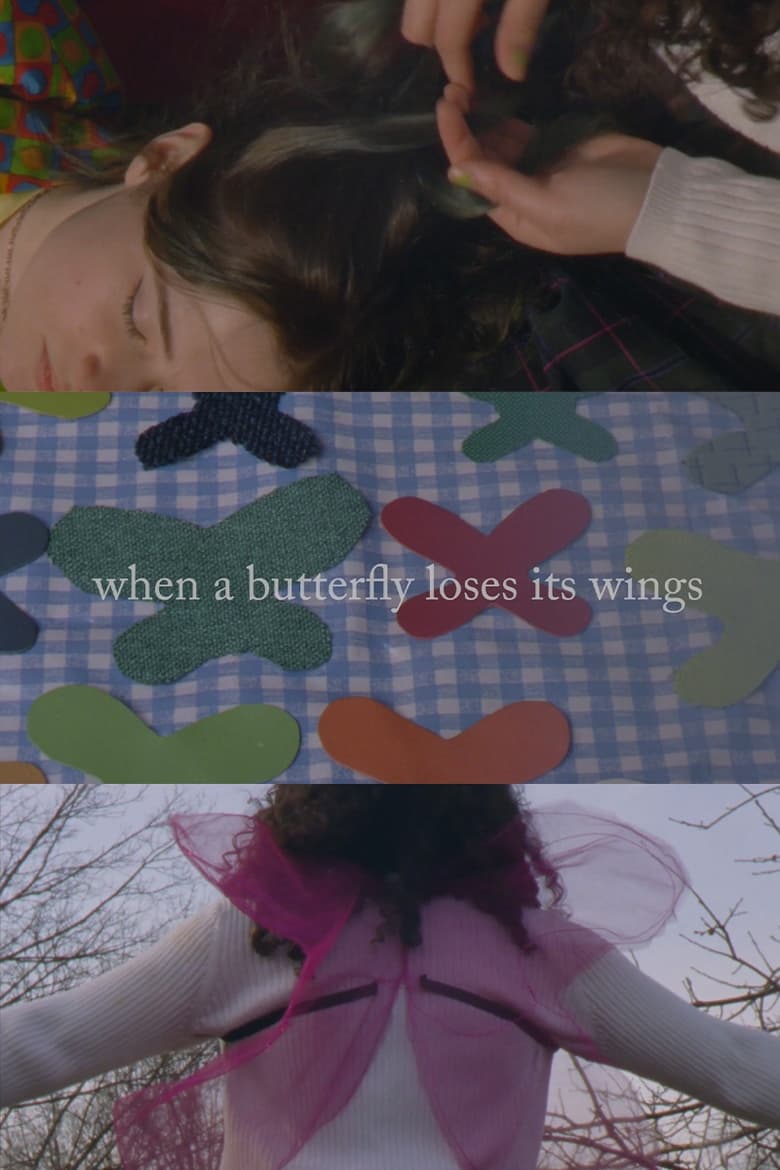 Poster of When A Butterfly Loses Its Wings