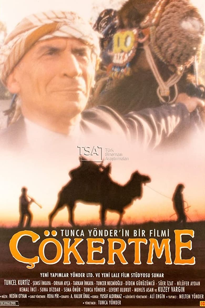 Poster of Çökertme