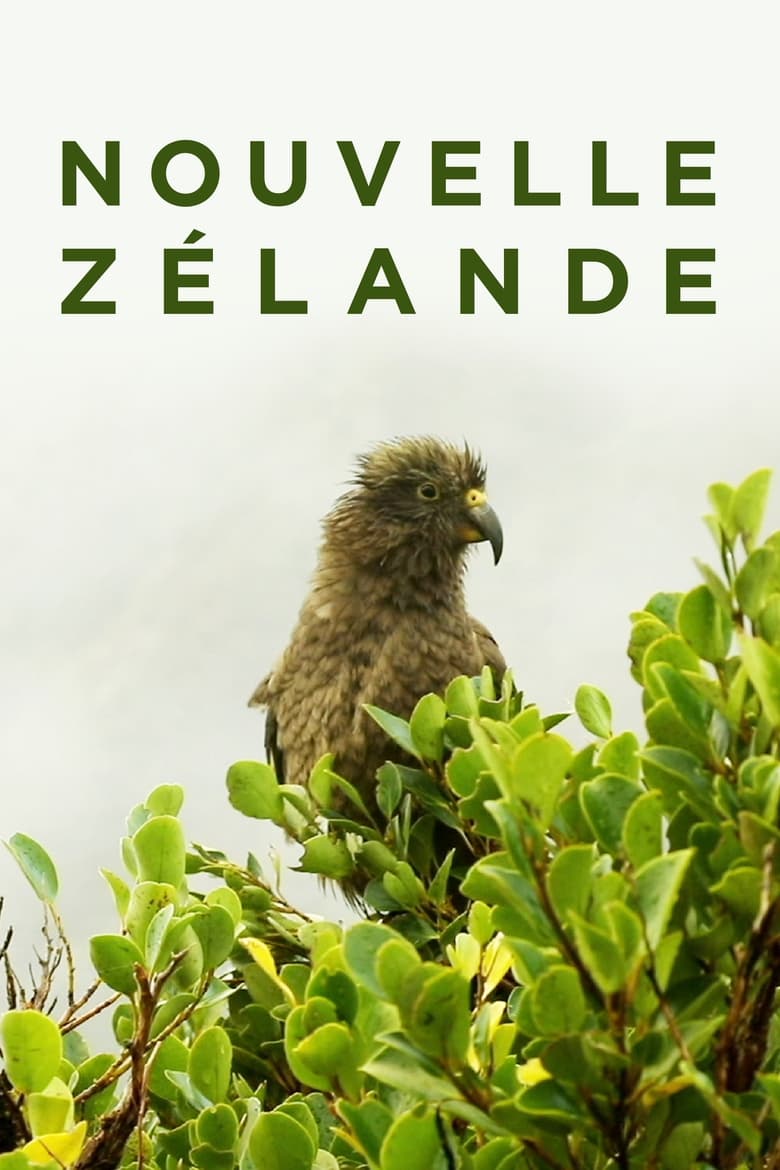 Poster of Nouvelle-Zélande : La Reconquête Maorie