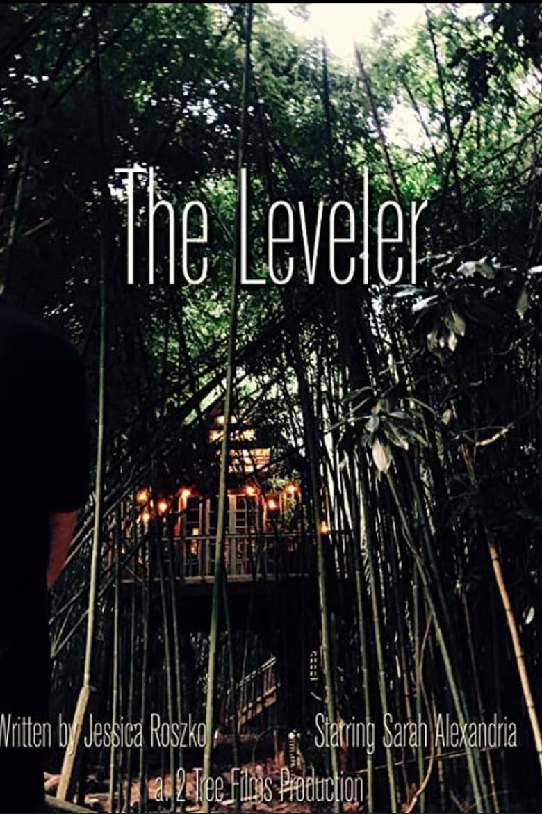 Poster of The Leveler