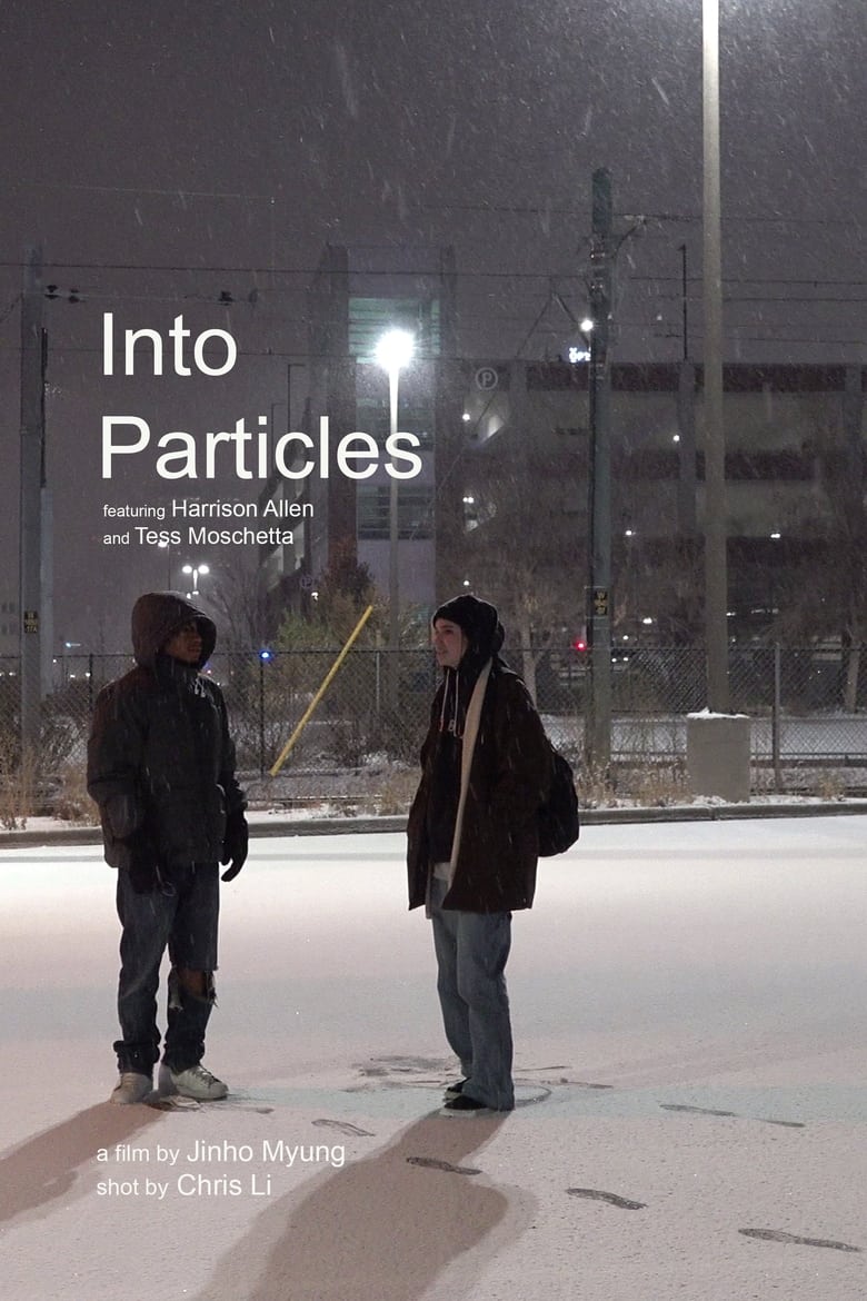 Poster of Into Particles