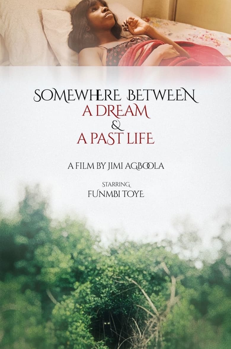 Poster of Somewhere Between a Dream and a Past Life