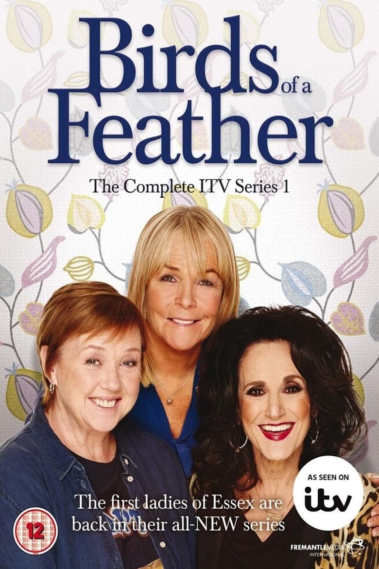 Poster of Episodes in Birds Of A Feather - Series 10 - Series 10