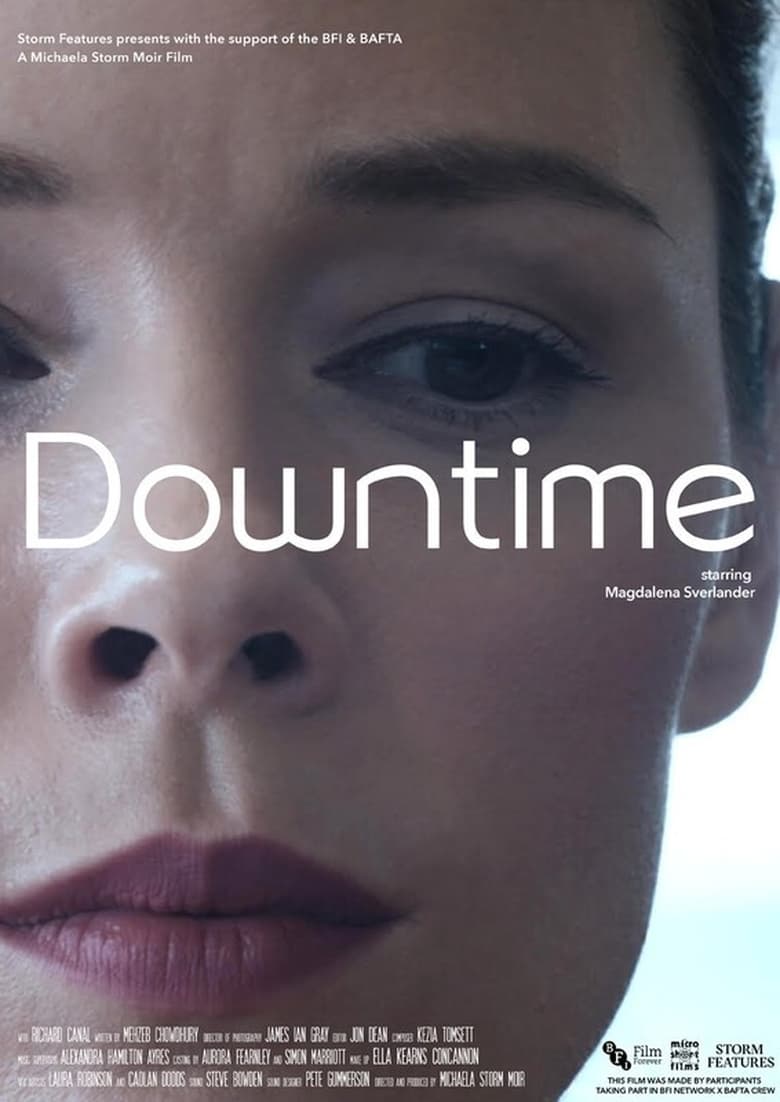 Poster of Downtime