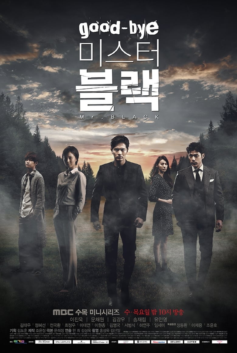 Poster of Goodbye Mr. Black