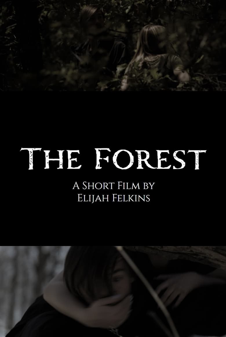 Poster of The Forest