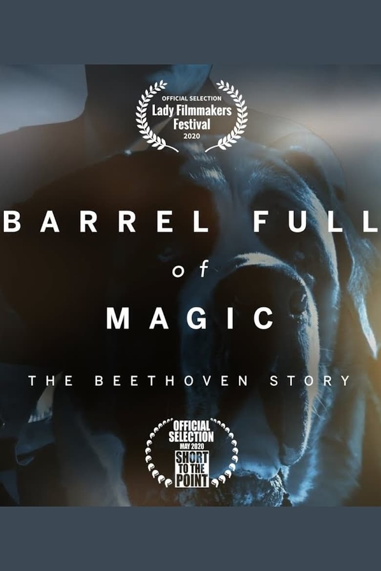 Poster of Barrel Full of Magic: The Beethoven Story