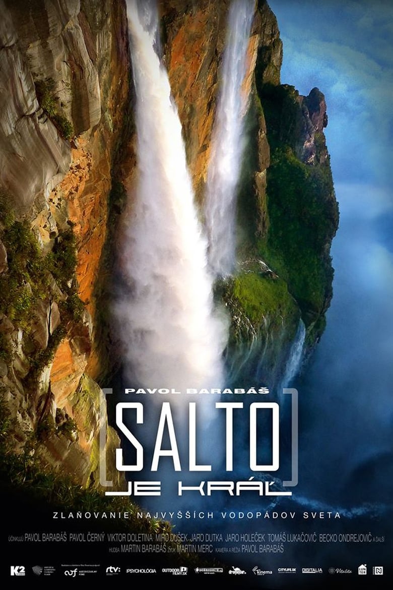 Poster of Salto je kráľ