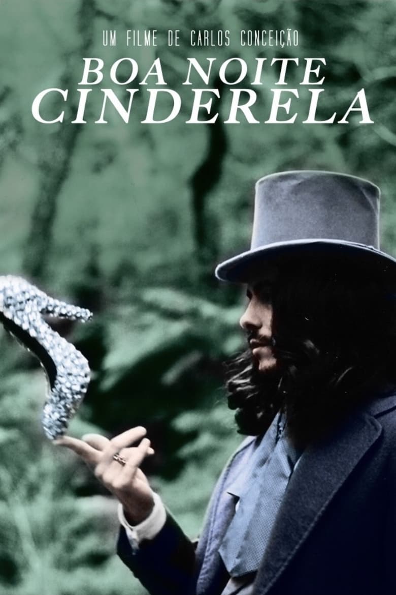 Poster of Goodnight Cinderella