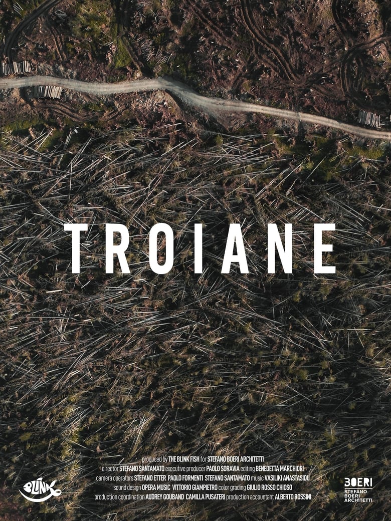 Poster of Troiane