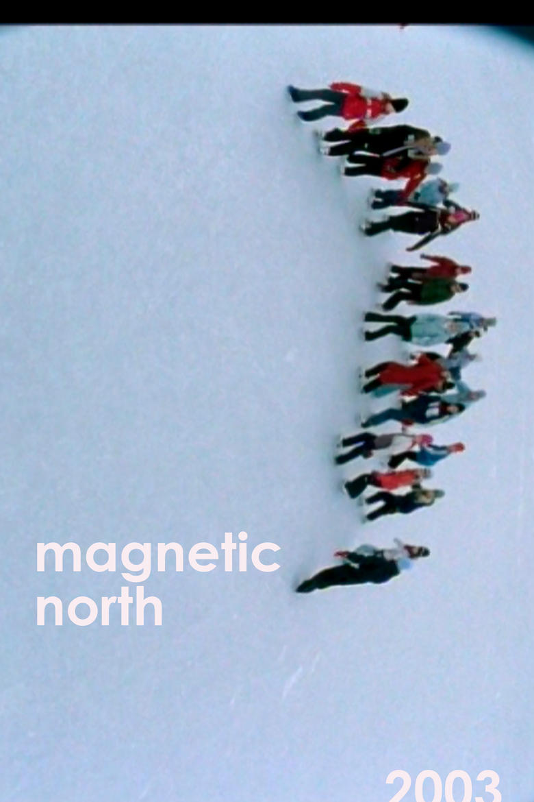 Poster of Magnetic North