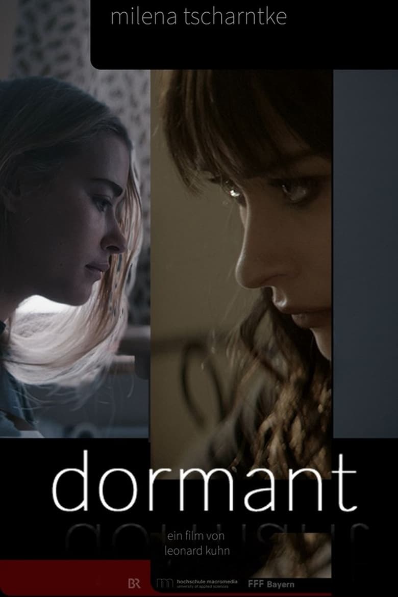 Poster of Dormant