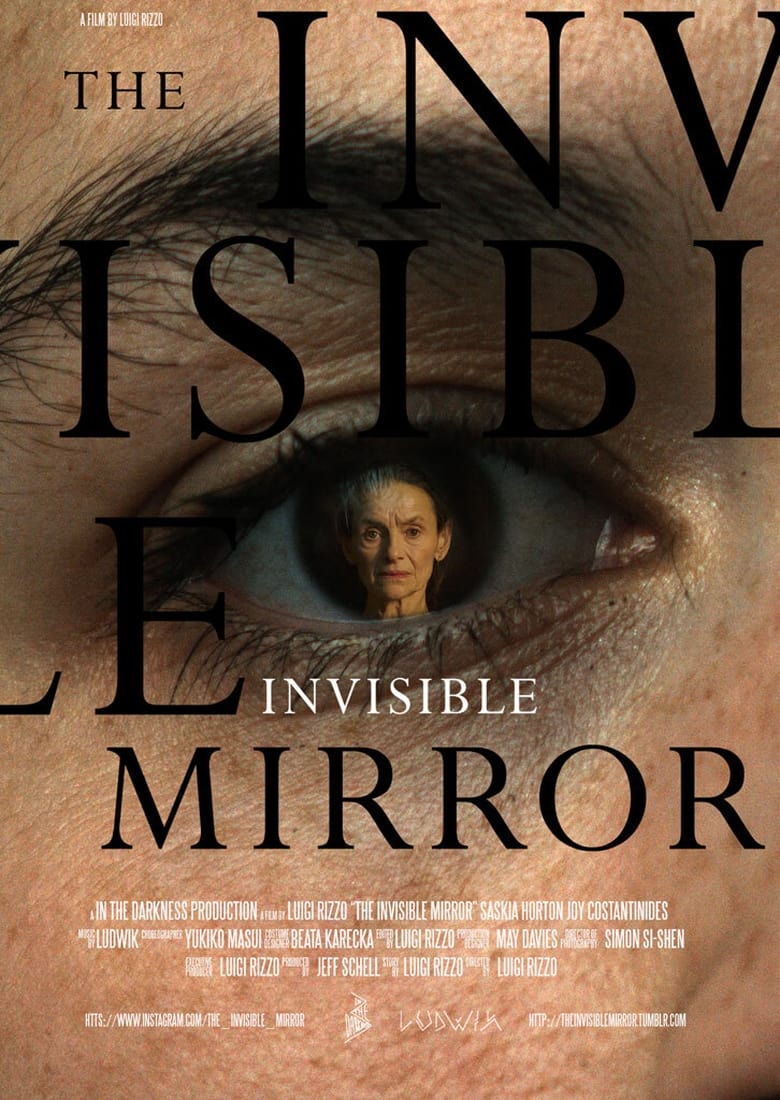 Poster of The Invisible Mirror