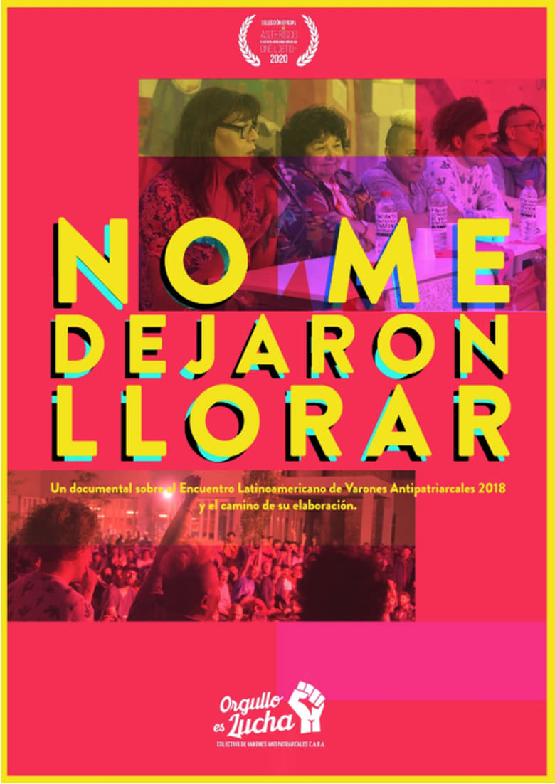 Poster of No me dejaron llorar