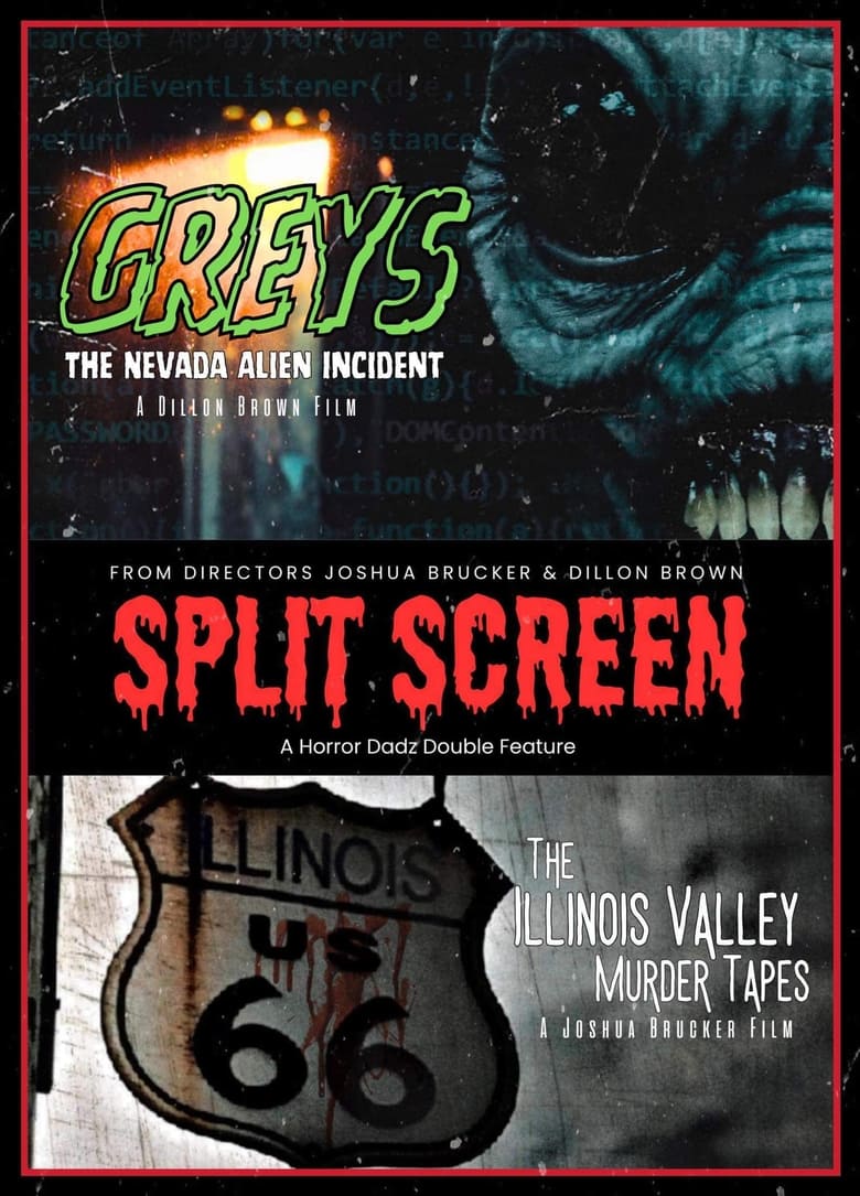 Poster of Split Screen