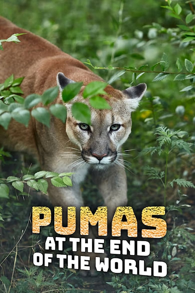 Poster of Pumas At The End of The World