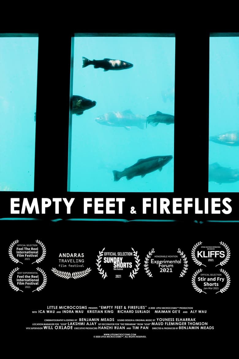 Poster of Empty Feet & Fireflies