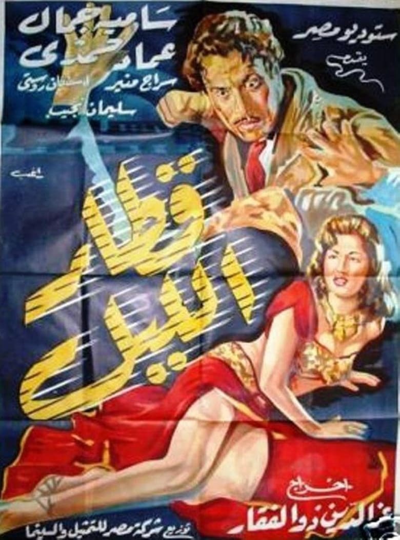 Poster of Night Train