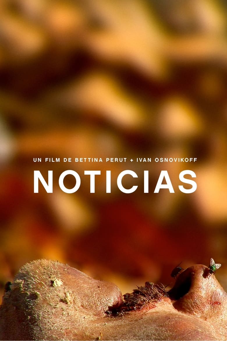 Poster of Noticias