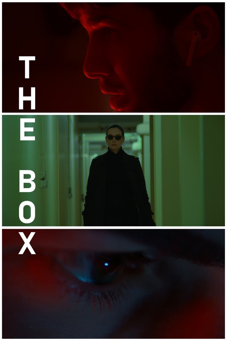 Poster of The Box