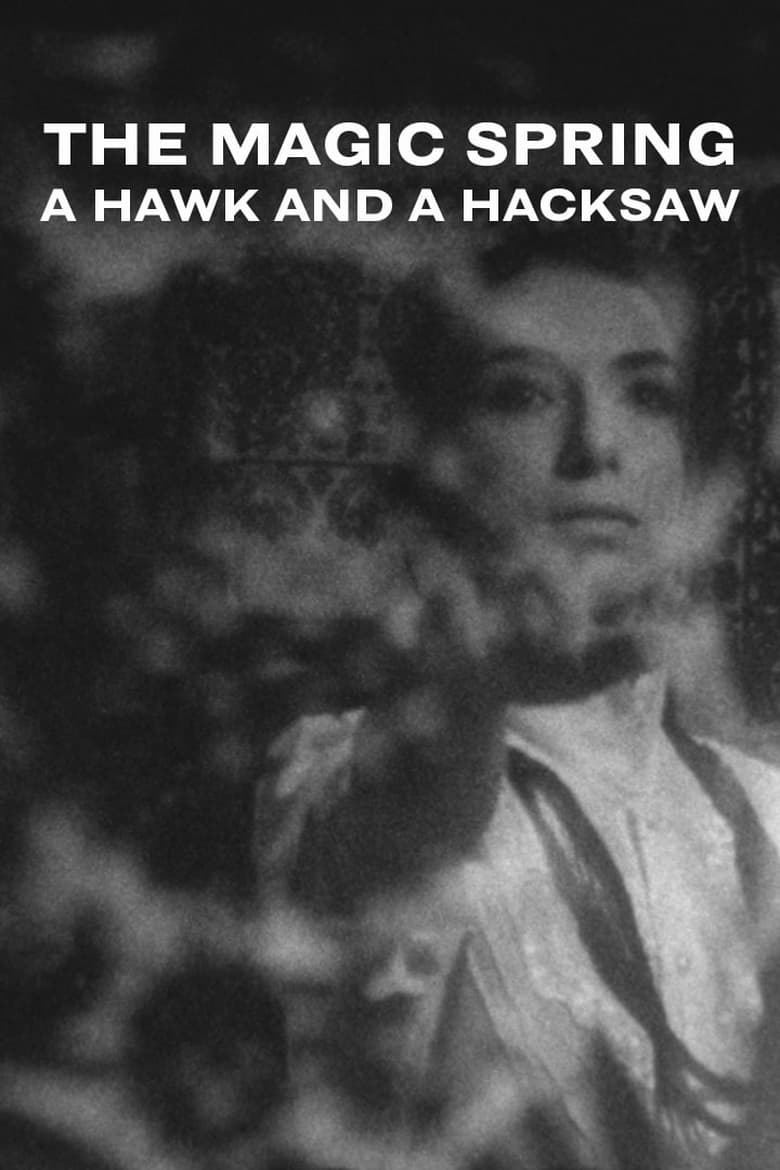 Poster of A Hawk and a Hacksaw - The Magic Spring