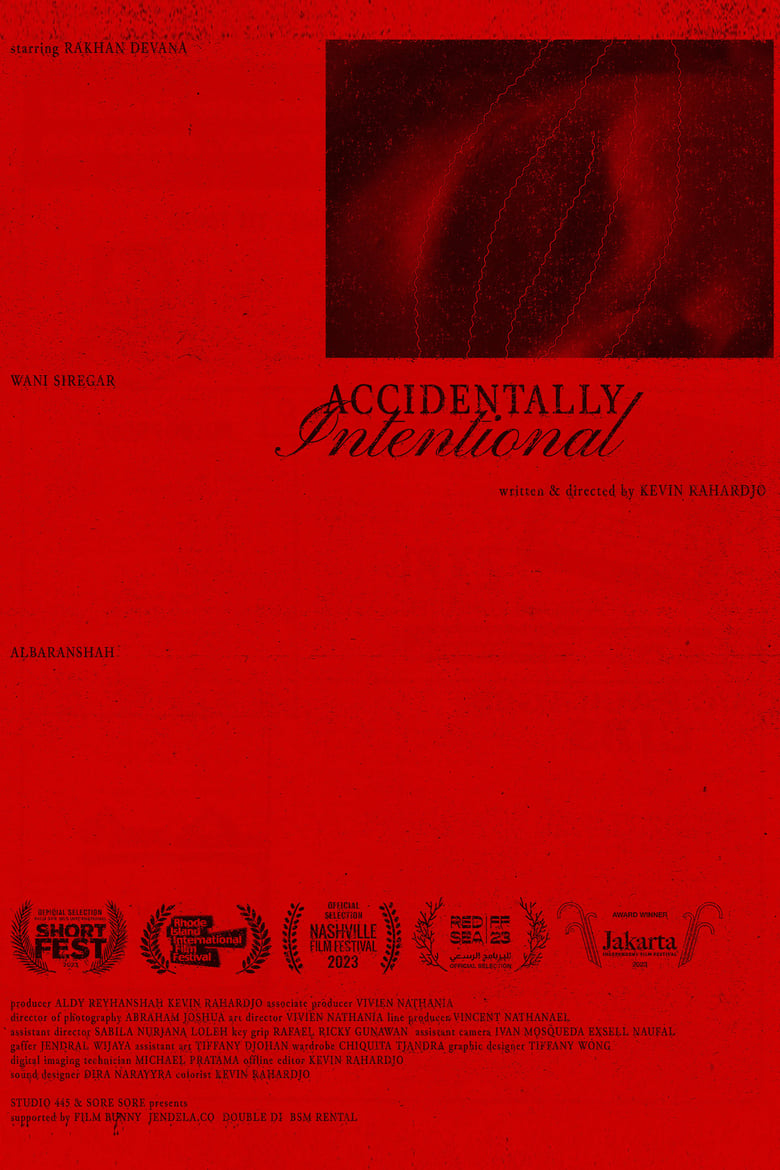 Poster of Accidentally Intentional