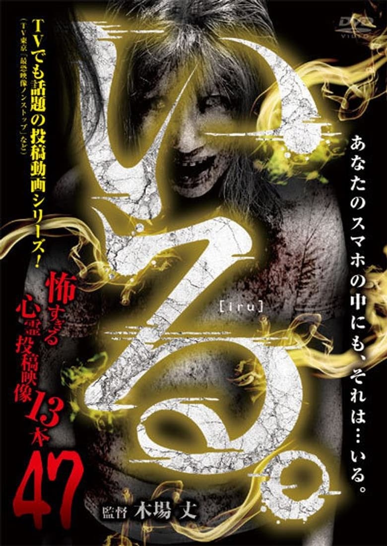 Poster of 「Iru.」~ Kowasugiru Tōkō Eizō 13-hon ~ Vol.47