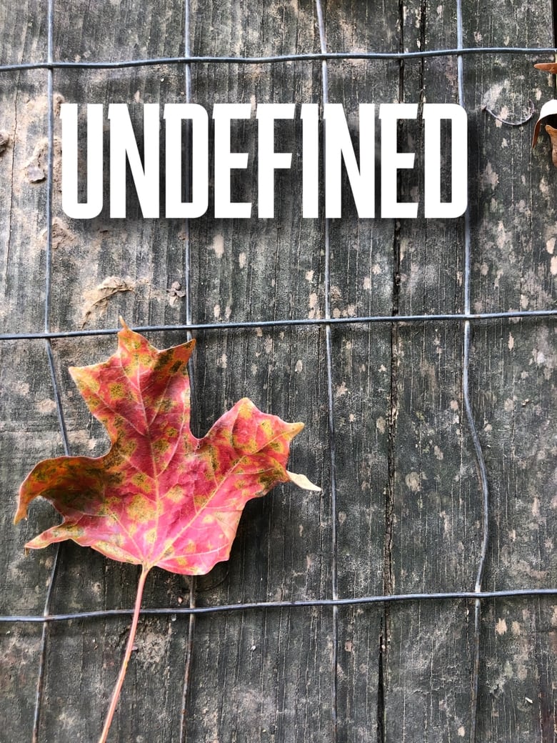 Poster of Undefined