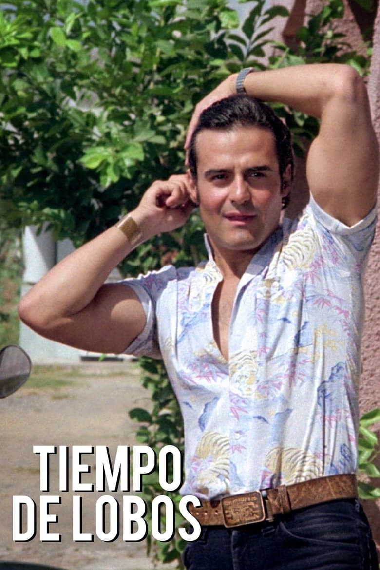 Poster of Tiempo de lobos