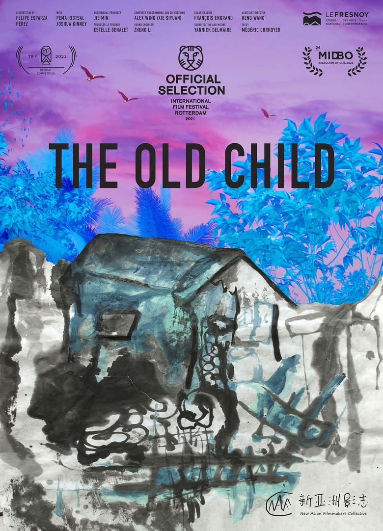 Poster of The Old Child