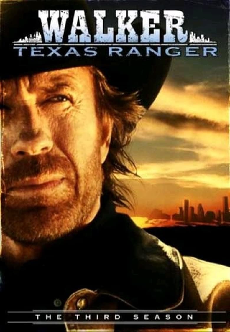 Poster of Walker, Texas Ranger - Season 3 - Episode 9 - Line of Fire