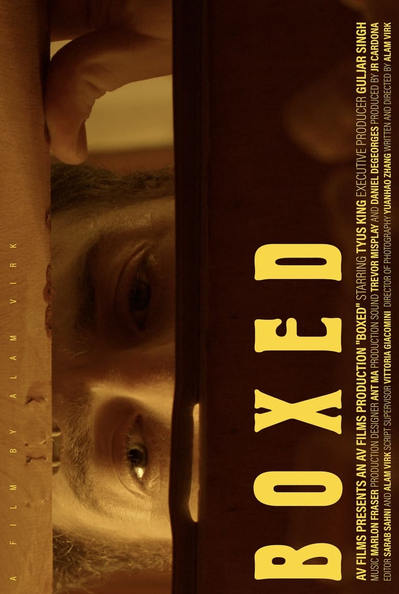 Poster of Boxed