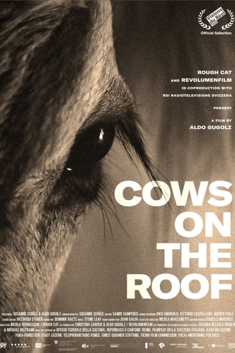 Poster of Cows on the Roof