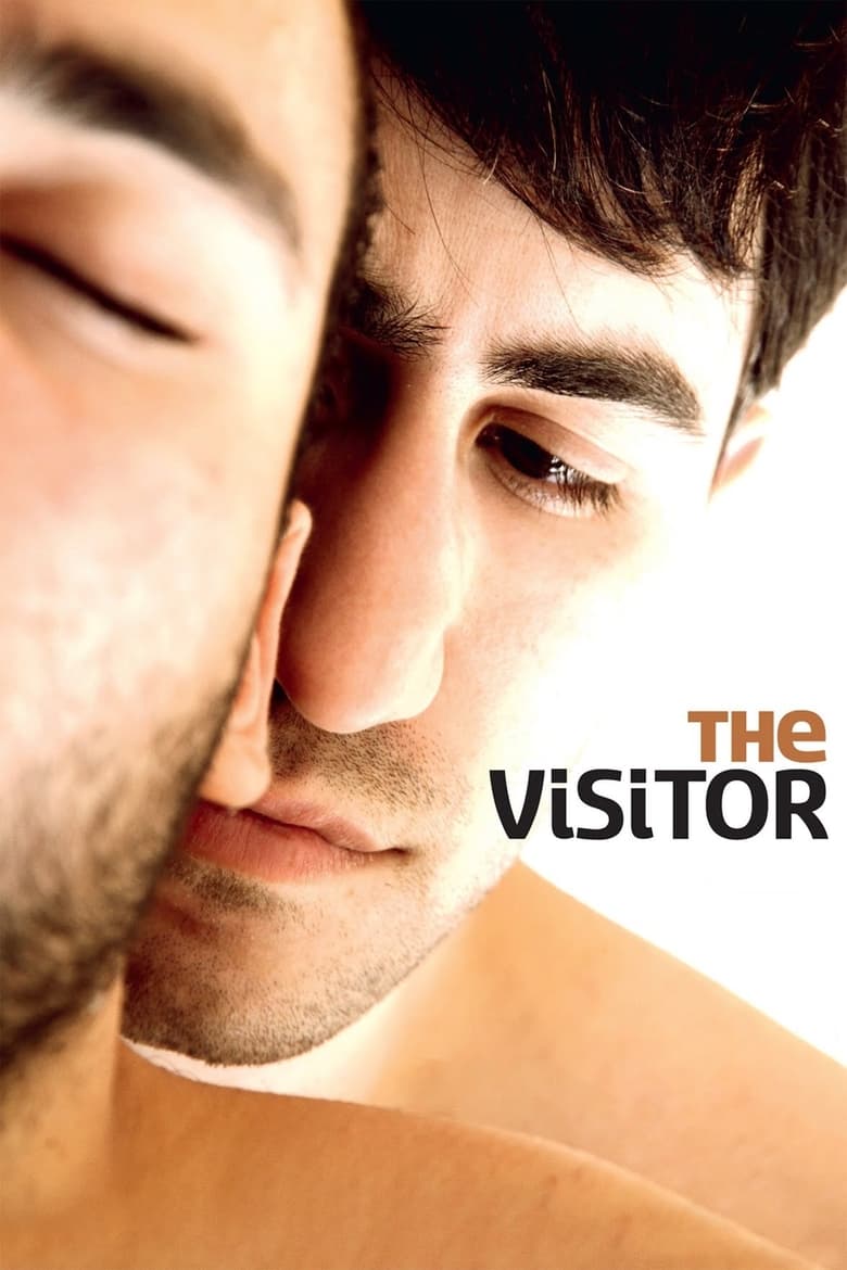 Poster of The Visitor