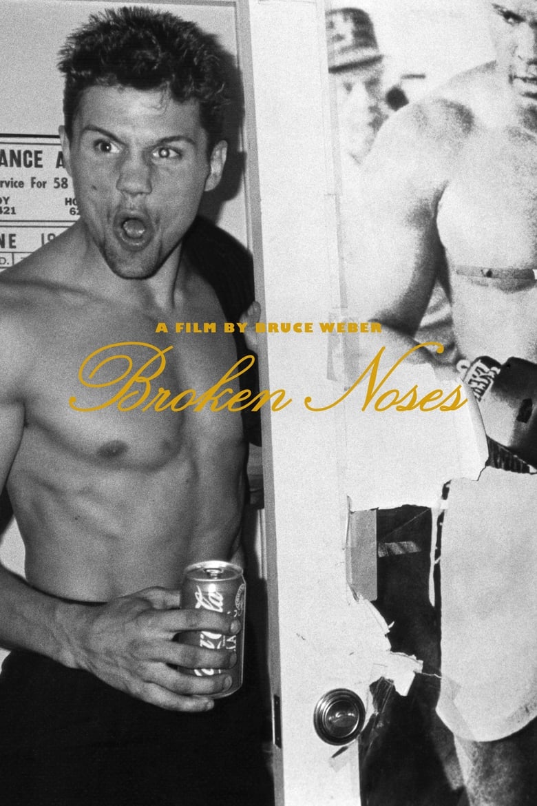 Poster of Broken Noses