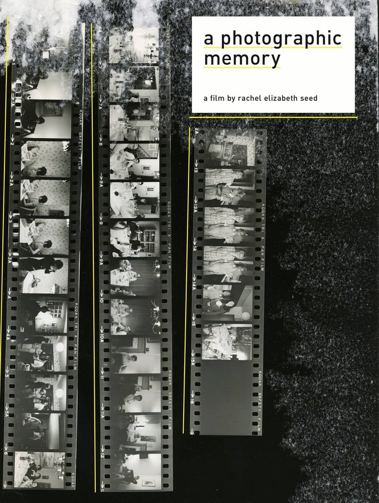 Poster of A Photographic Memory