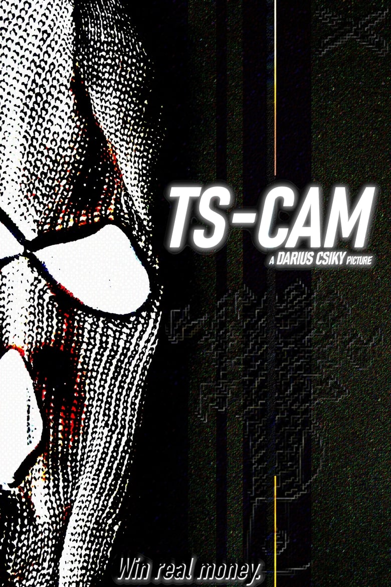 Poster of TS-CAM